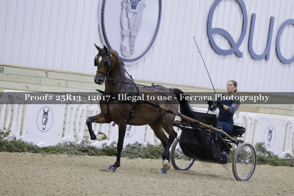 Proof Number 25R13_12617