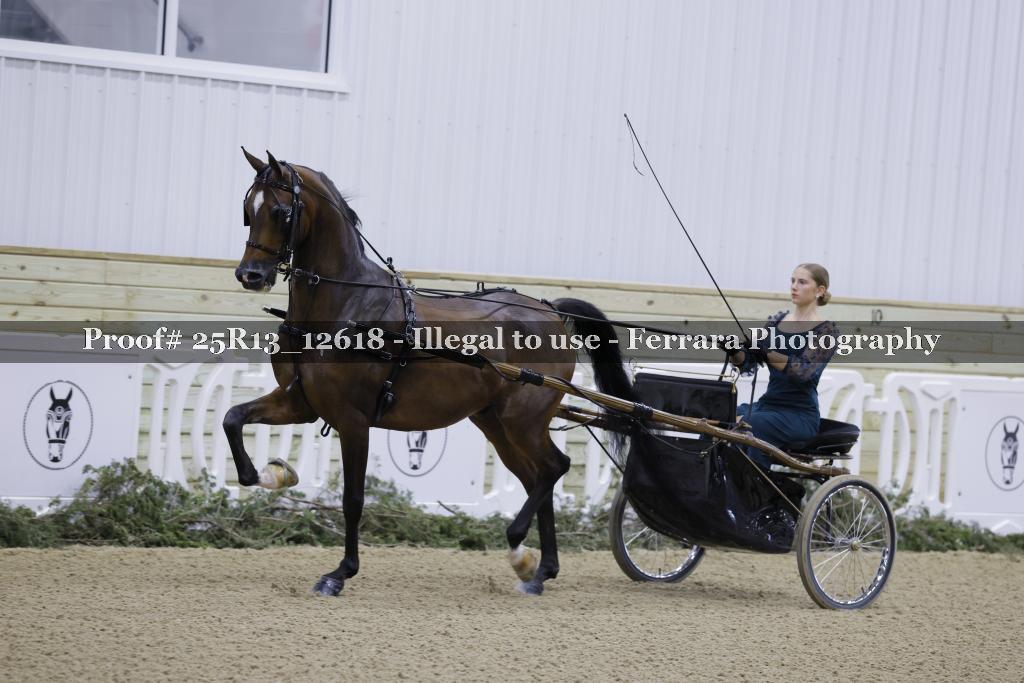 Proof Number 25R13_12618