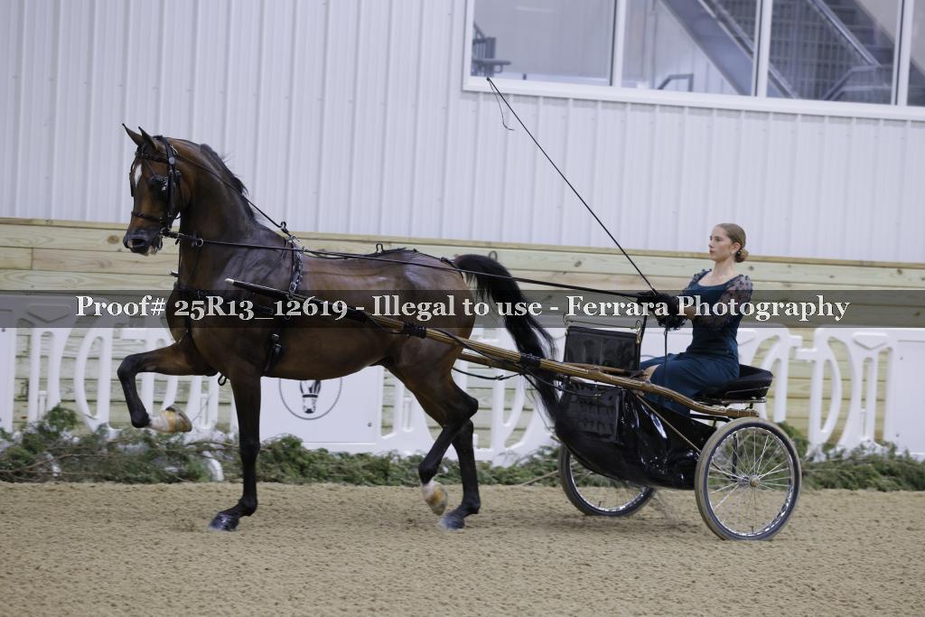 Proof Number 25R13_12619