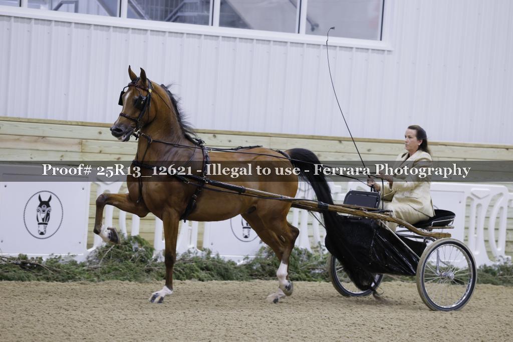 Proof Number 25R13_12621