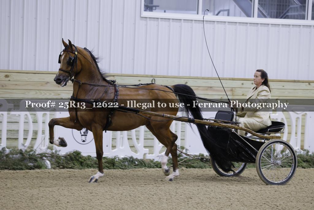 Proof Number 25R13_12622