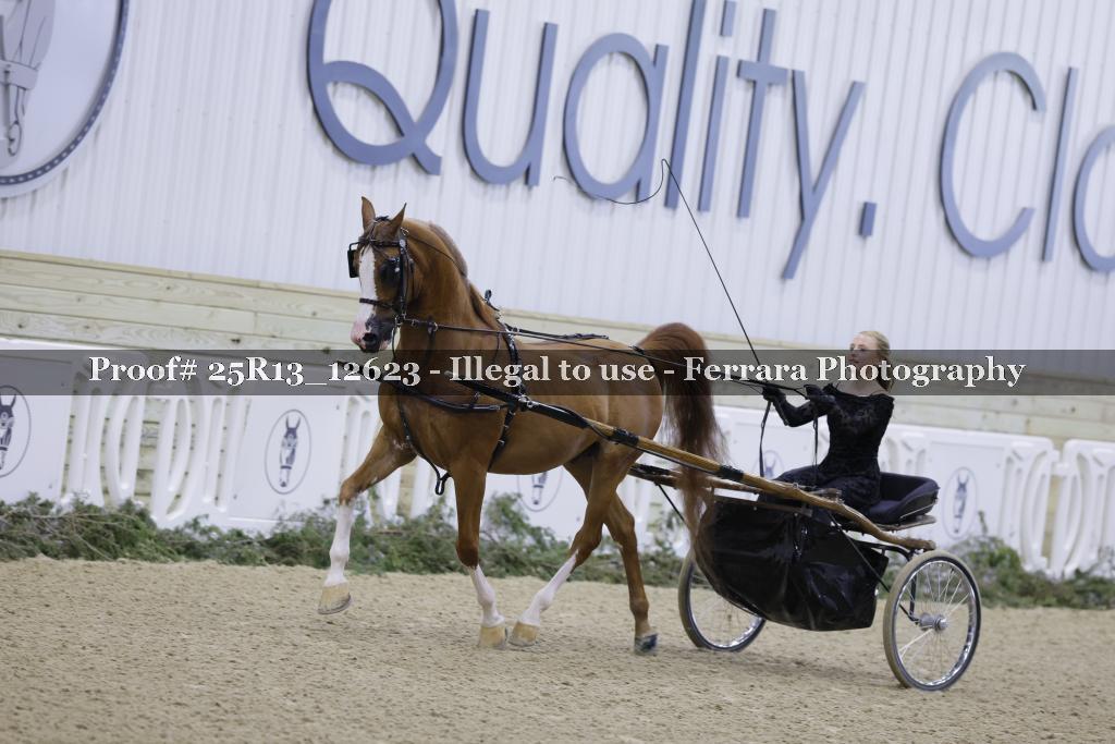 Proof Number 25R13_12623
