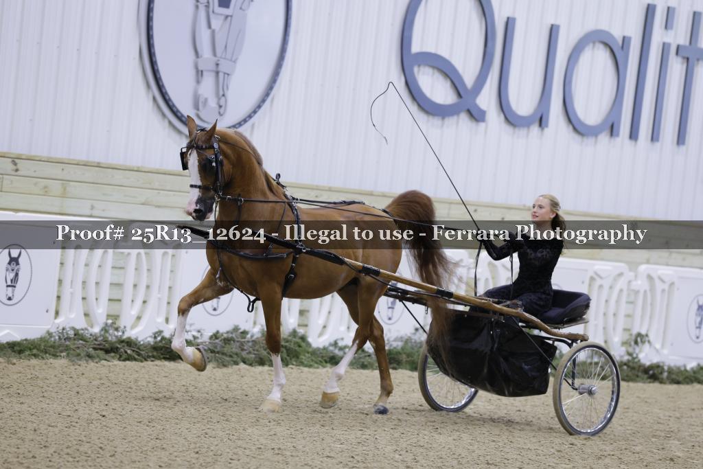 Proof Number 25R13_12624