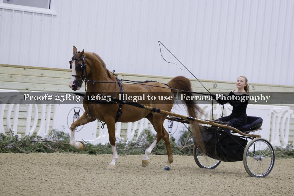 Proof Number 25R13_12625