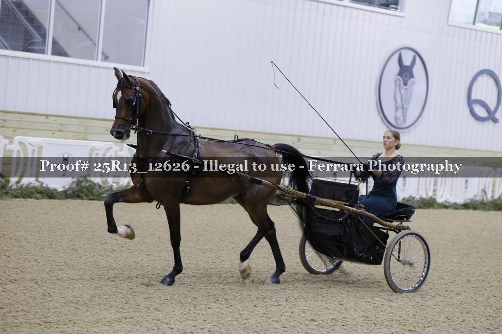 Proof Number 25R13_12626