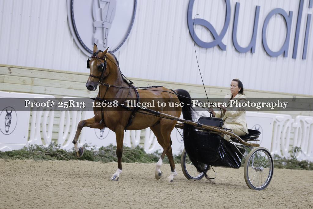 Proof Number 25R13_12628