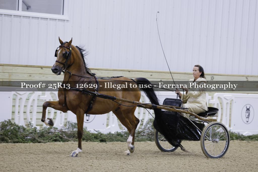 Proof Number 25R13_12629
