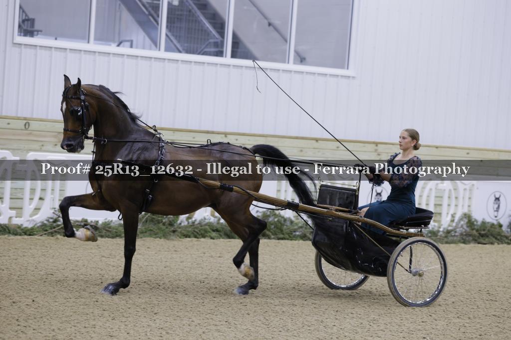 Proof Number 25R13_12632