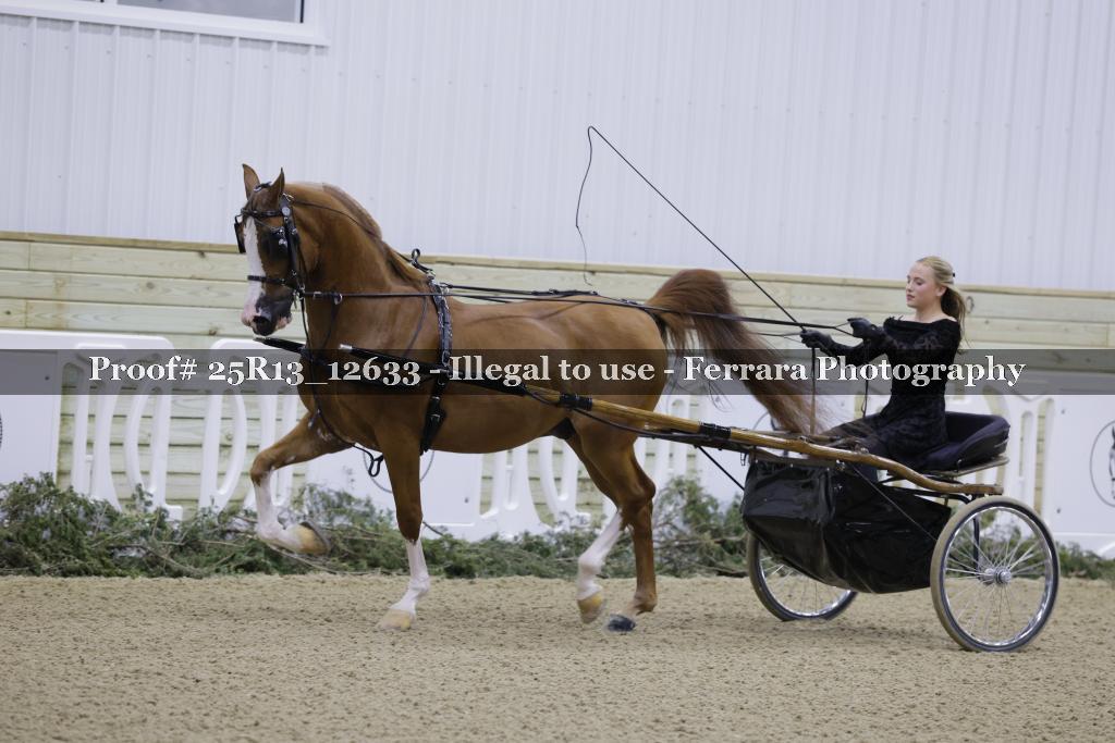 Proof Number 25R13_12633