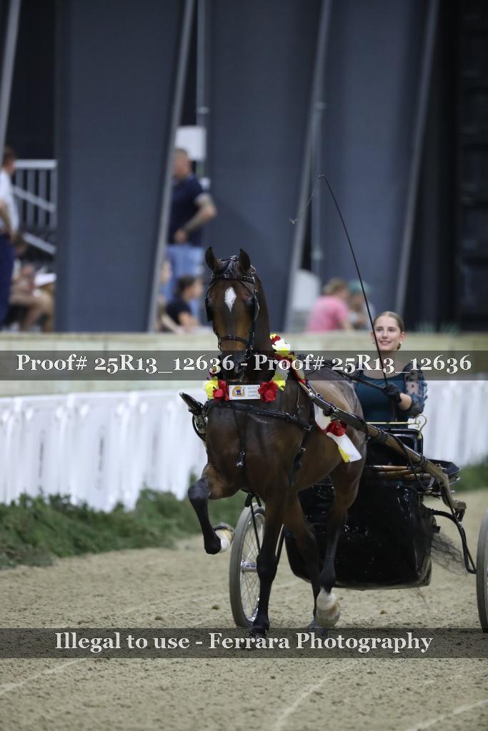 Proof Number 25R13_12636