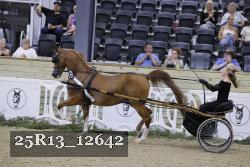 25R13_12642 thumbnail