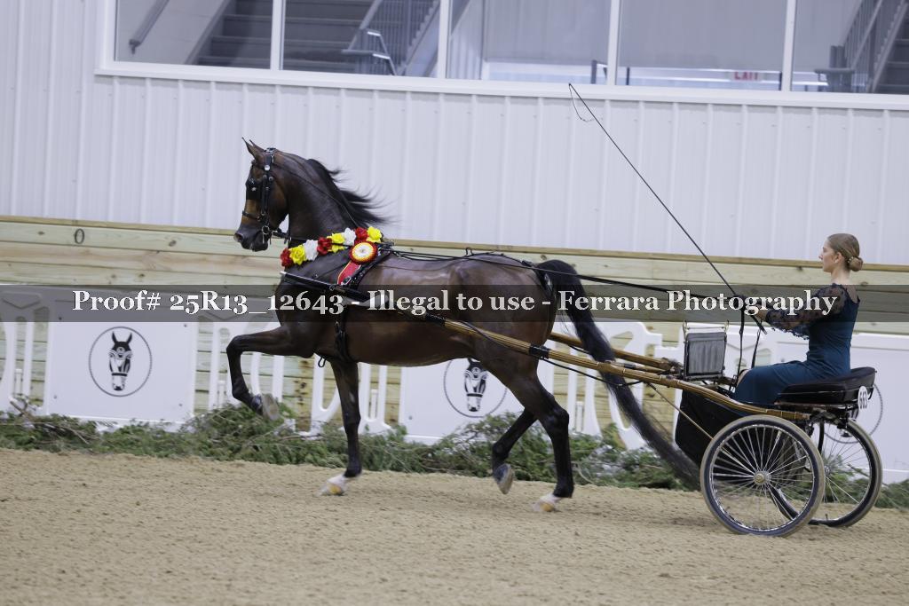 Proof Number 25R13_12643