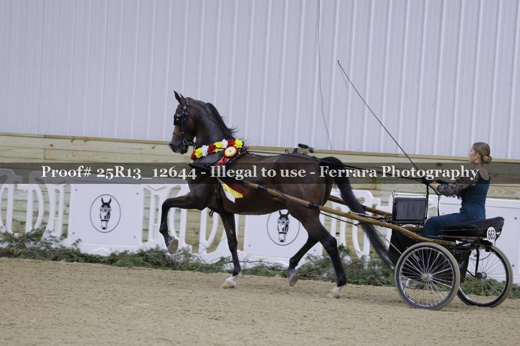 Proof Number 25R13_12644