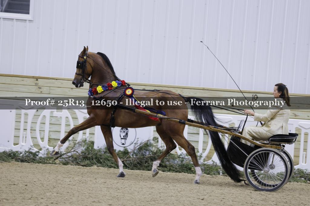 Proof Number 25R13_12650