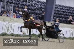 25R13_12653 thumbnail