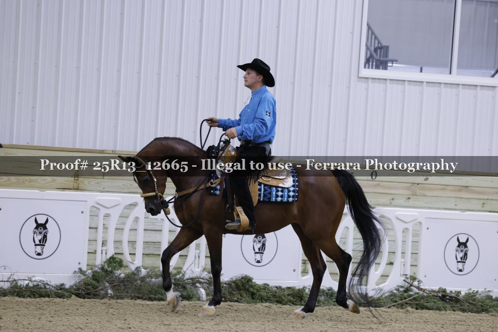 Proof Number 25R13_12665