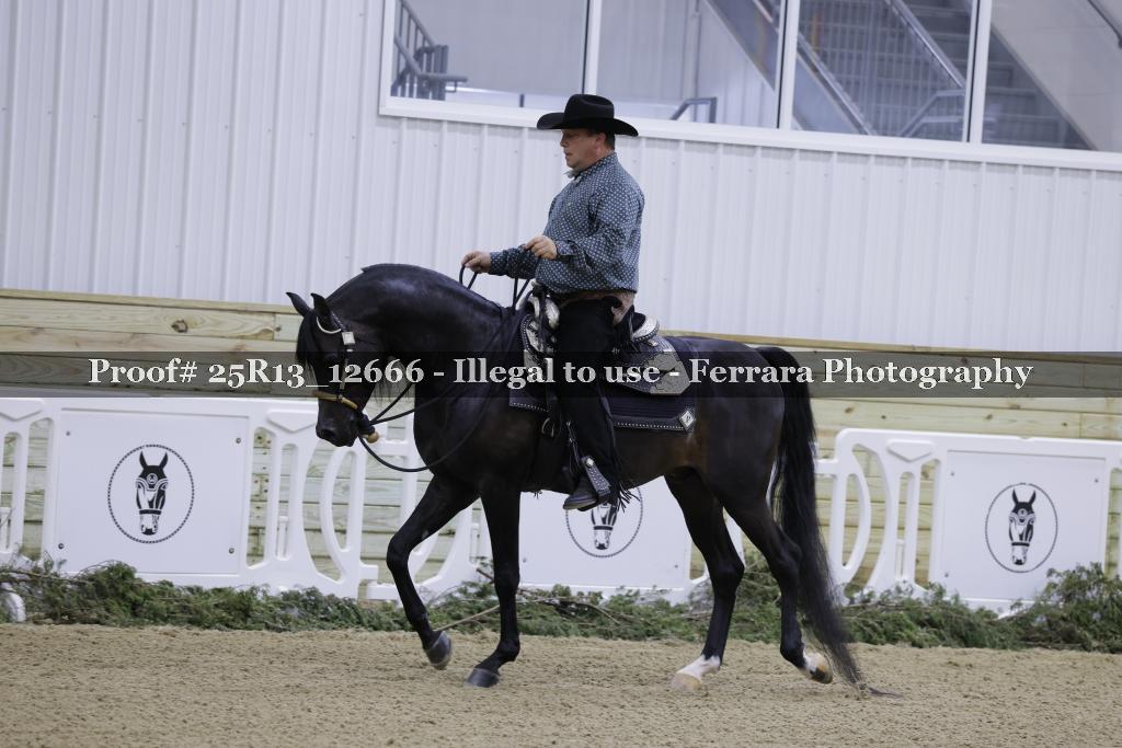 Proof Number 25R13_12666