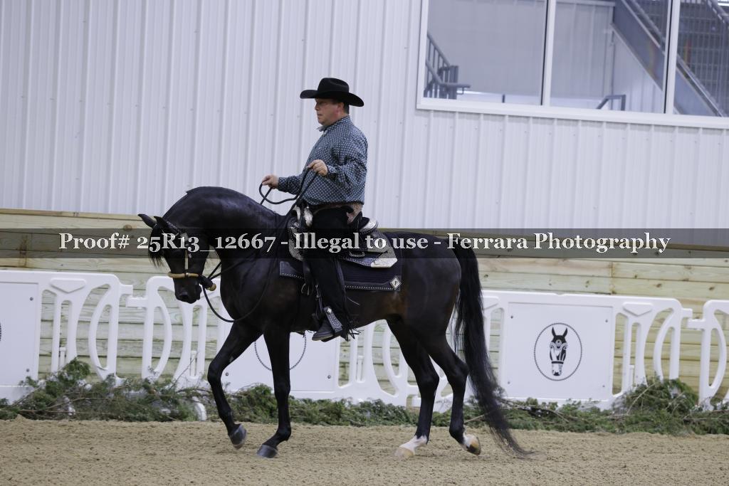 Proof Number 25R13_12667