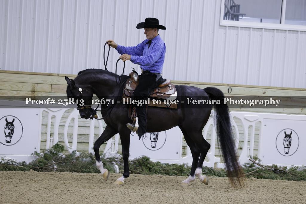 Proof Number 25R13_12671