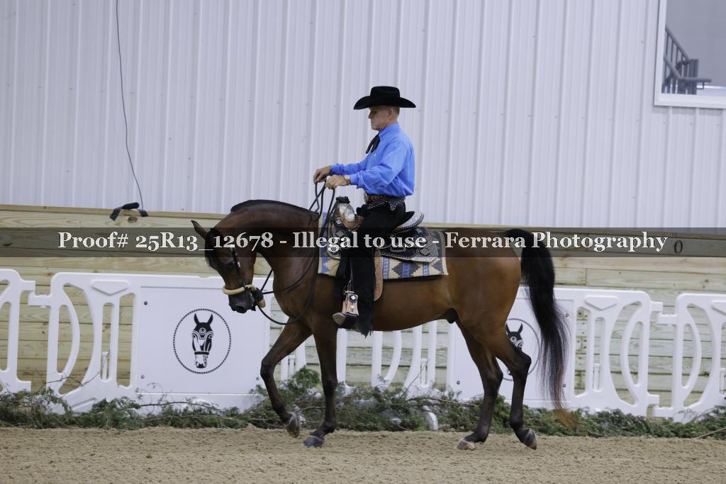 Proof Number 25R13_12678