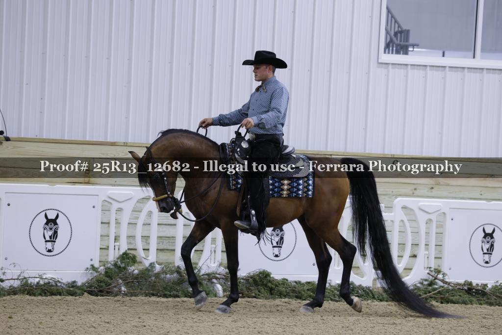 Proof Number 25R13_12682
