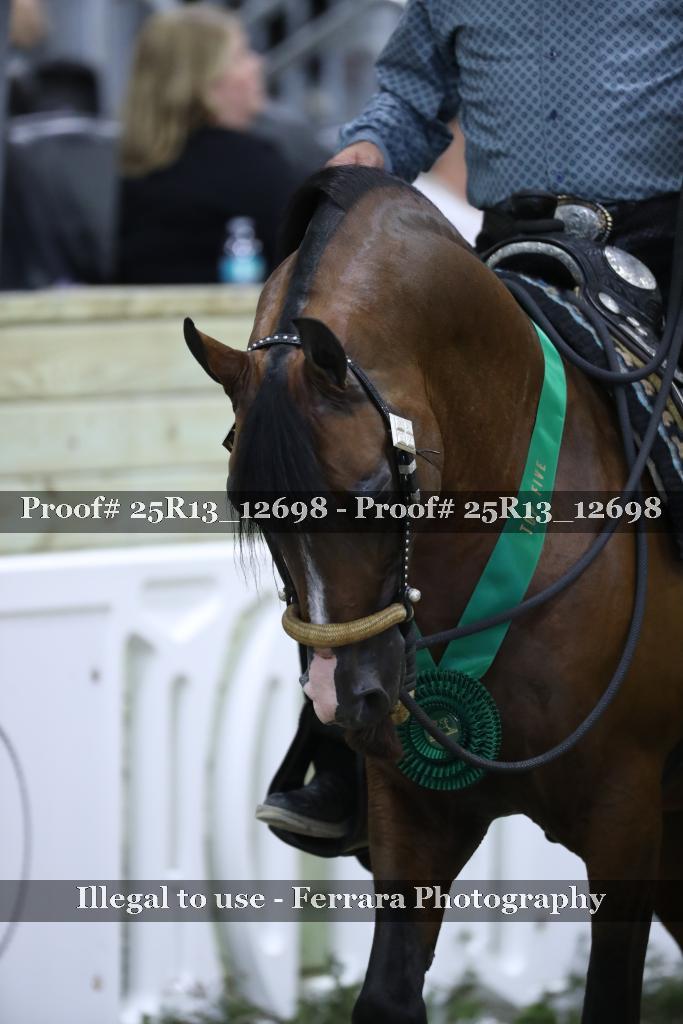 Proof Number 25R13_12698