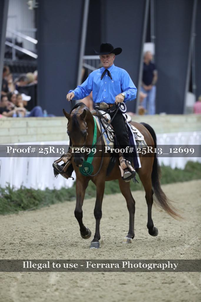 Proof Number 25R13_12699