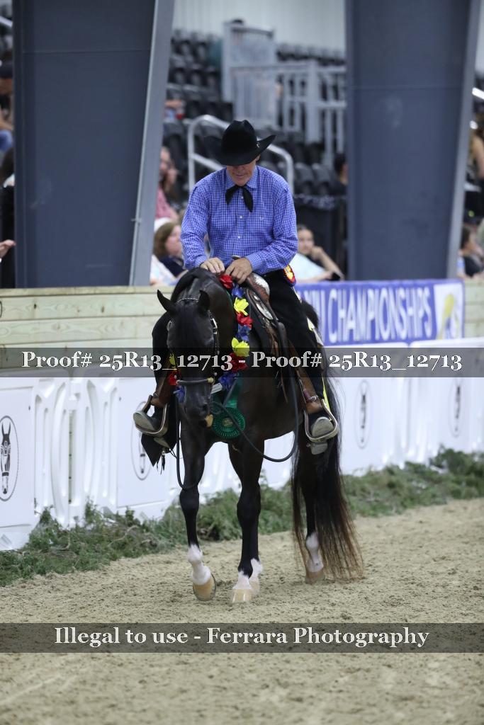 Proof Number 25R13_12713