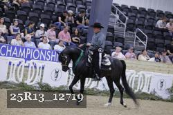 25R13_12719 thumbnail