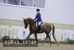 25R13_12740 thumbnail
