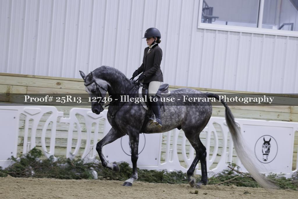 Proof Number 25R13_12746