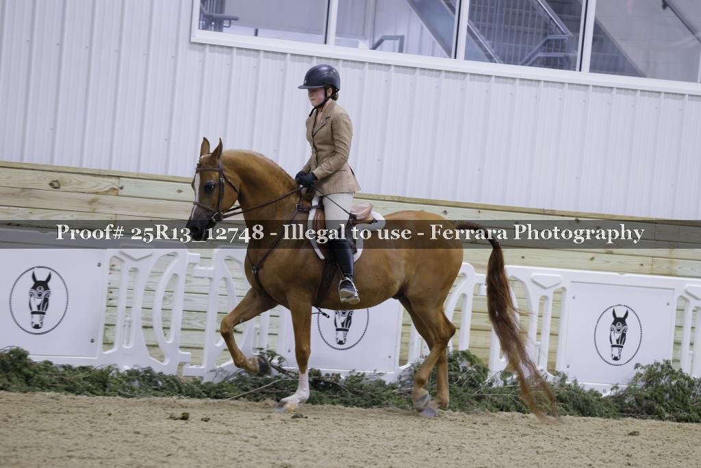 Proof Number 25R13_12748