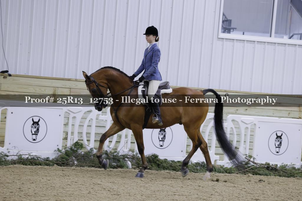 Proof Number 25R13_12753
