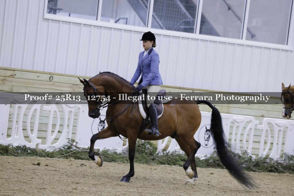 Proof Number 25R13_12754