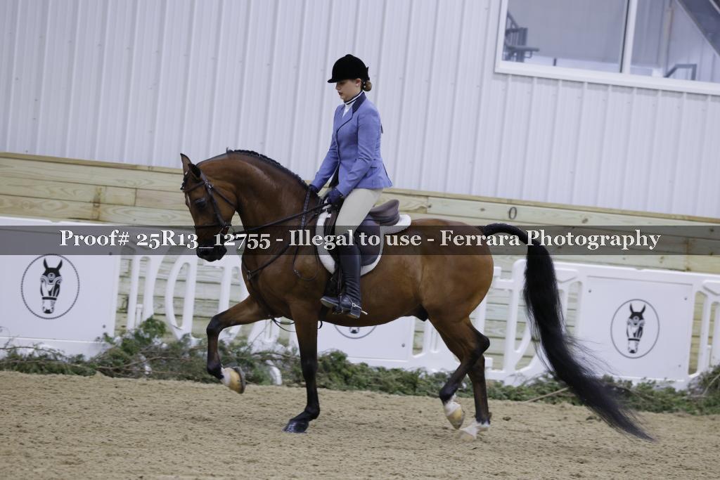 Proof Number 25R13_12755