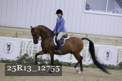 25R13_12755 thumbnail