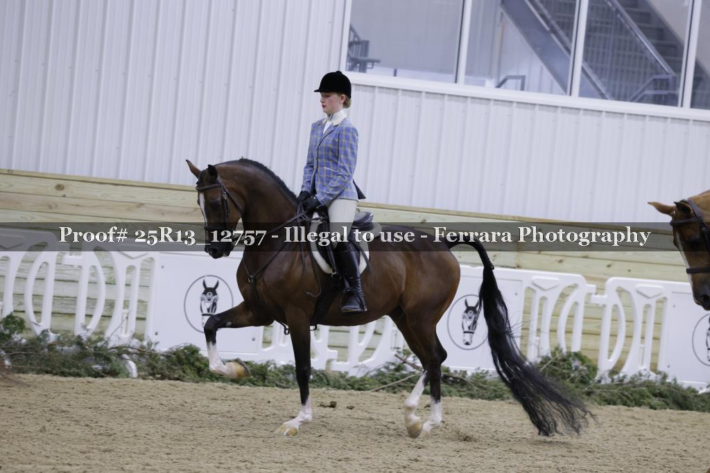 Proof Number 25R13_12757