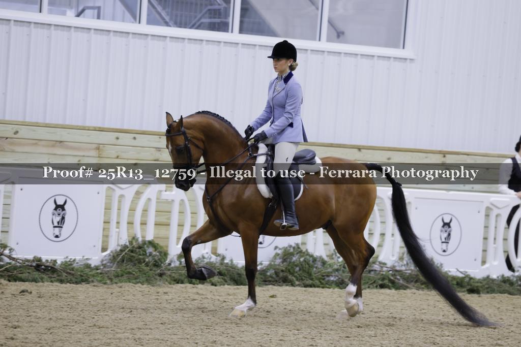 Proof Number 25R13_12759