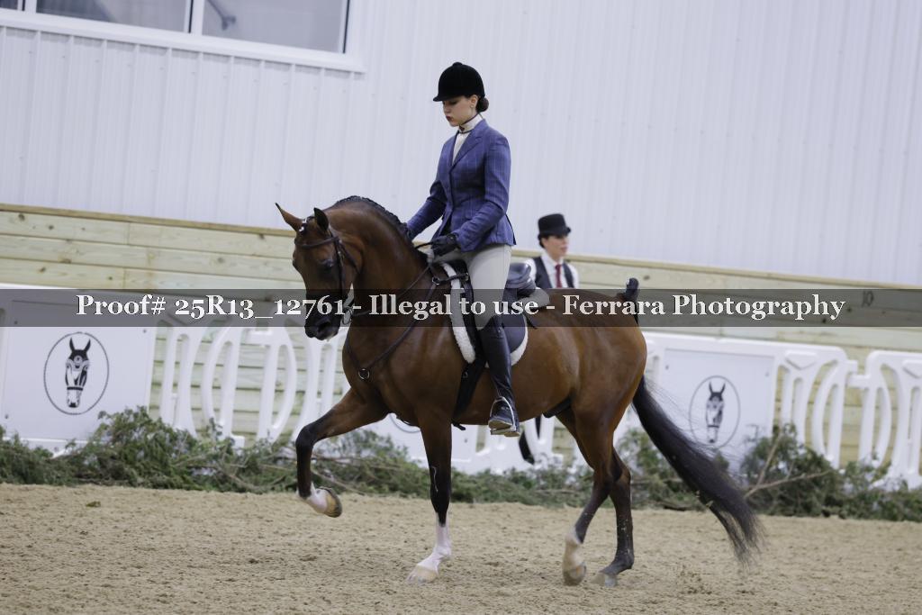 Proof Number 25R13_12761
