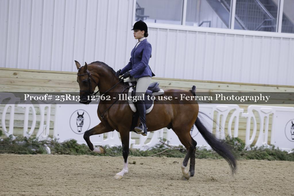 Proof Number 25R13_12762