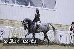 25R13_12764 thumbnail