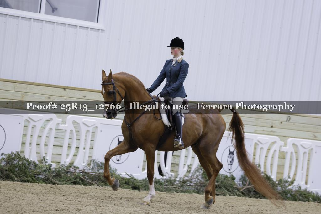 Proof Number 25R13_12766