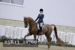 25R13_12766 thumbnail