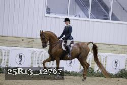 25R13_12767 thumbnail