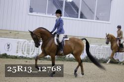 25R13_12768 thumbnail
