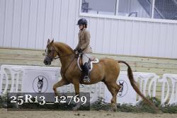 25R13_12769 thumbnail
