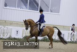 25R13_12770 thumbnail