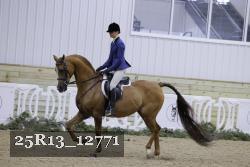 25R13_12771 thumbnail