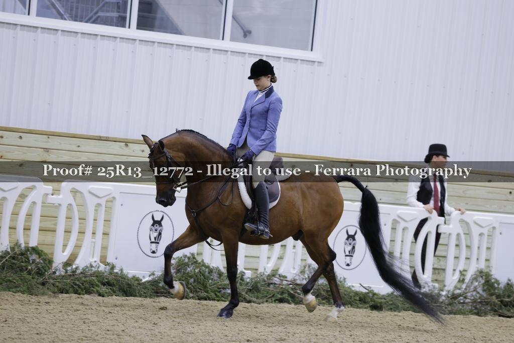 Proof Number 25R13_12772