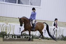 25R13_12772 thumbnail